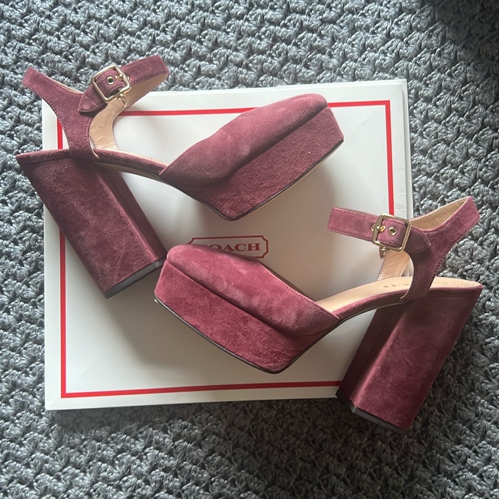 Brand new suede Coach Isabella Maryjane platform shoes. Size 9.5